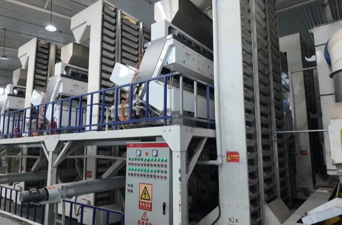 借論壇東風拓絲路新程！塔城外貿企業享營商環境紅利繪就發展新圖景